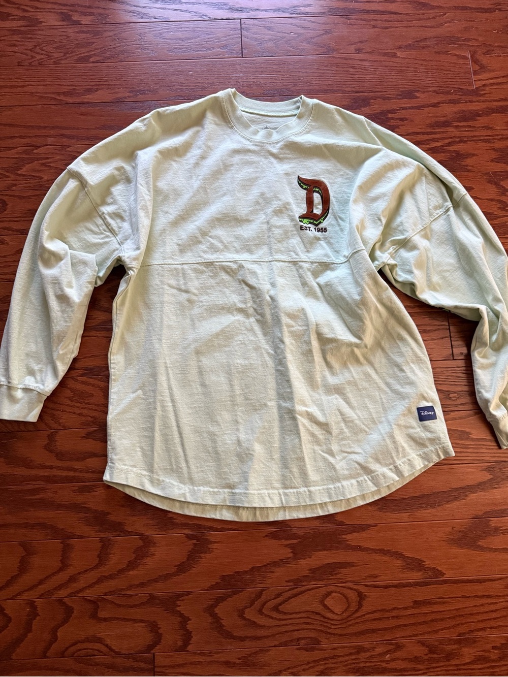 Disney Pale Green Crewneck Sweatshirt with Embroidered 'D' Patch